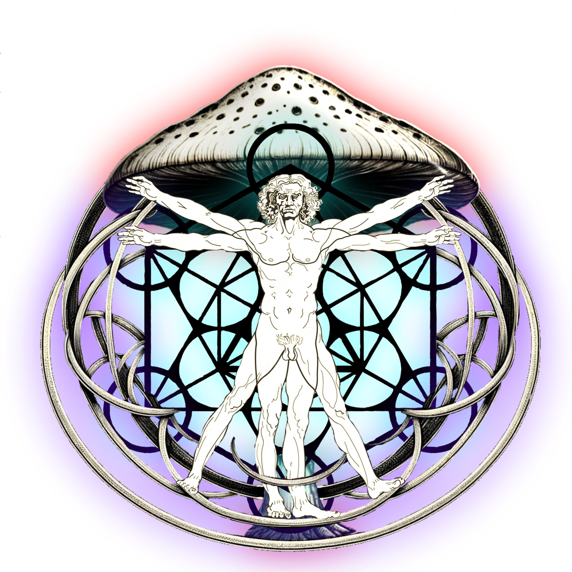Leonardo da Vinci Vitruvian Man Metatron's Cube Celtic knotting three Halos and psychedelic mushroom as the the fruit of knowledge in the pursuit of perfection using Sacred Medicines.